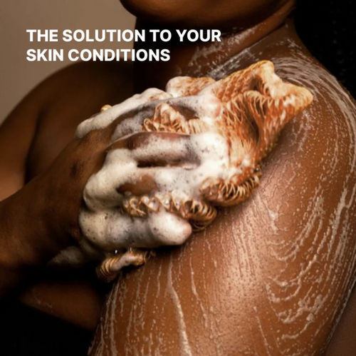 The Traditional African Handcrafted Body Net Sponge